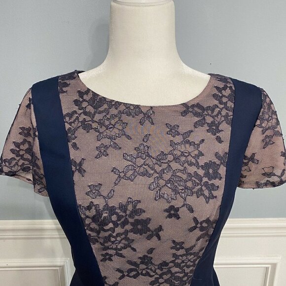 JS Collections Lace Chiffon Metallic Dress Size 8 Formal Pinafore - Picture 3 of 8